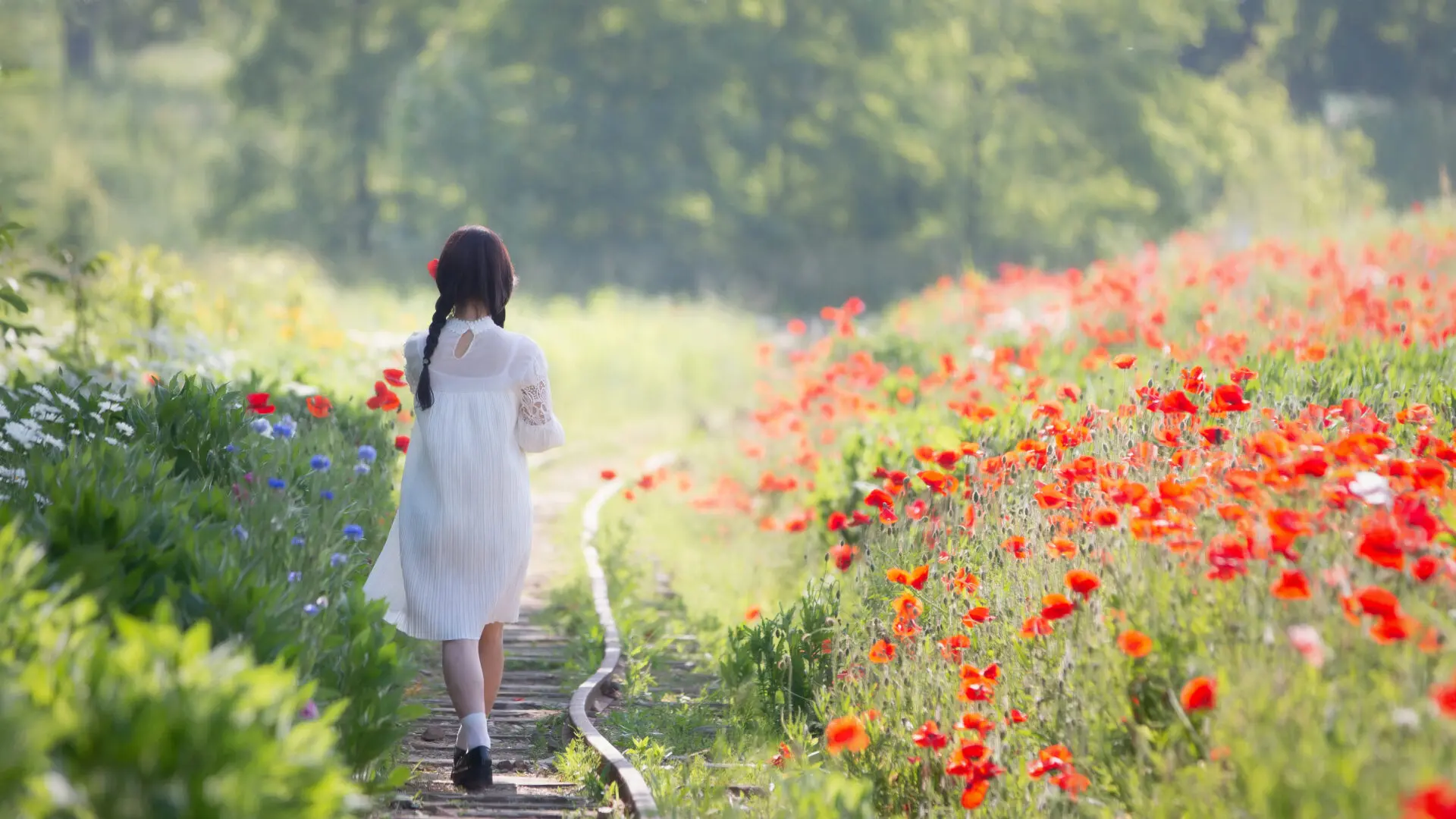 5월 출사지 고잔역 양귀비밭, 철길따라 꽃길따라 걷기