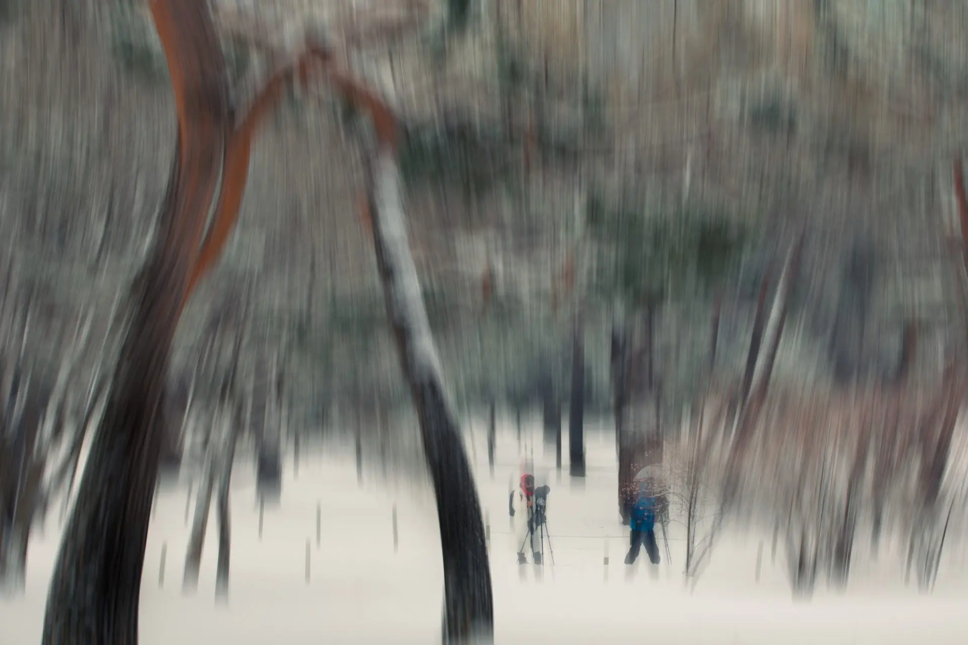 사진은 머리와 눈과 마음을 맞추는 것